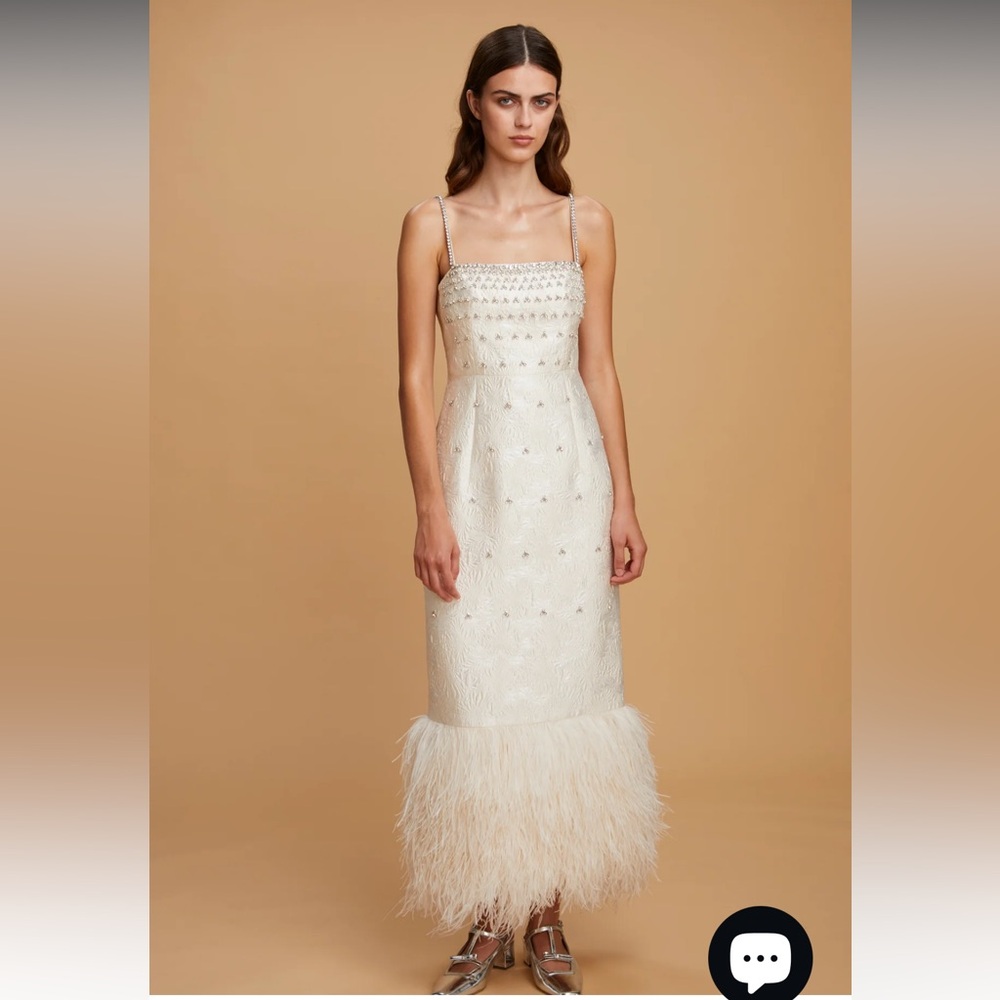 ISO Huishan Zhang Astra Dress